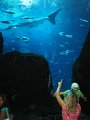 August2008 112